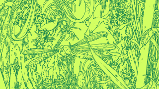 How <i>Ex Machina</i>'s Director Wants To Film VanderMeer's Crazy <i>Annihilation</i>